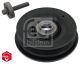 FEBI BILSTEIN Riemenscheibe, Kurbelwelle 33699