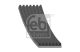 FEBI BILSTEIN Keilrippenriemen 34454