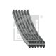 FEBI BILSTEIN Keilrippenriemen 34462