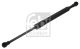 FEBI BILSTEIN Gasfeder, Koffer-/Laderaum 36210