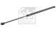 FEBI BILSTEIN Gasfeder, Koffer-/Laderaum 36220