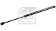 FEBI BILSTEIN Gasfeder, Koffer-/Laderaum 37482
