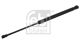 FEBI BILSTEIN Gasfeder, Koffer-/Laderaum 38520