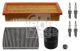 FEBI BILSTEIN Teilesatz, Inspektion 39037