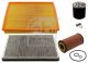 FEBI BILSTEIN Teilesatz, Inspektion 39608