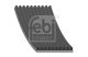 FEBI BILSTEIN Keilrippenriemen 44709