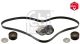 FEBI BILSTEIN Keilrippenriemensatz 45967