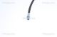 TRISCAN Bremsschlauch 8150 27210