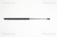TRISCAN Gasfeder, Koffer-/Laderaum 8710 24230
