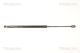 TRISCAN Gasfeder, Koffer-/Laderaum 8710 50244