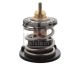 FEBI BILSTEIN Thermostat, Kühlmittel 109338