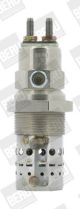 BorgWarner (BERU) Glühkerze GF529
