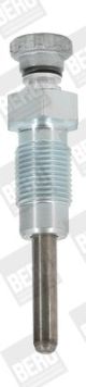 BorgWarner (BERU) Glühkerze GV119