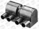 BorgWarner (BERU) Zündspule ZSE025