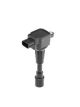 BorgWarner (BERU) Zündspule ZSE216