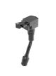 BorgWarner (BERU) Zündspule ZSE215