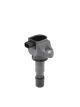 BorgWarner (BERU) Zündspule ZSE240