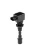 BorgWarner (BERU) Zündspule ZSE244