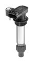 BorgWarner (BERU) Zündspule ZSE252