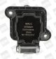 BorgWarner (BERU) Zündspule ZS016