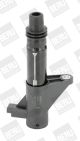 BorgWarner (BERU) Zündspule ZS347