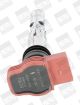 BorgWarner (BERU) Zündspule ZSE051