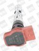 BorgWarner (BERU) Zündspule ZSE061