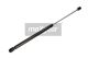 MAXGEAR Gasfeder, Koffer-/Laderaum 12-0047