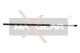 MAXGEAR Gasfeder, Koffer-/Laderaum 12-0076