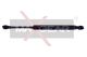 MAXGEAR Gasfeder, Koffer-/Laderaum 12-0302