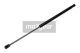MAXGEAR Gasfeder, Koffer-/Laderaum 12-1544