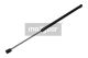 MAXGEAR Gasfeder, Koffer-/Laderaum 12-1554