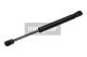 MAXGEAR Gasfeder, Koffer-/Laderaum 12-1564