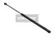 MAXGEAR Gasfeder, Koffer-/Laderaum 12-1691