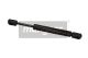 MAXGEAR Gasfeder, Koffer-/Laderaum 12-1729