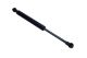 MAXGEAR Gasfeder, Koffer-/Laderaum 12-1806