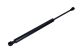 MAXGEAR Gasfeder, Koffer-/Laderaum 12-1807