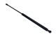 MAXGEAR Gasfeder, Koffer-/Laderaum 12-1810