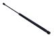 MAXGEAR Gasfeder, Koffer-/Laderaum 12-1812