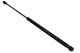 MAXGEAR Gasfeder, Koffer-/Laderaum 12-1813