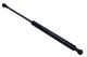 MAXGEAR Gasfeder, Koffer-/Laderaum 12-1816