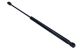 MAXGEAR Gasfeder, Koffer-/Laderaum 12-1817