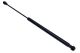 MAXGEAR Gasfeder, Koffer-/Laderaum 12-1820