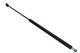 MAXGEAR Gasfeder, Koffer-/Laderaum 12-1821
