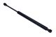 MAXGEAR Gasfeder, Koffer-/Laderaum 12-1824