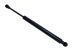 MAXGEAR Gasfeder, Koffer-/Laderaum 12-1831