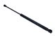 MAXGEAR Gasfeder, Koffer-/Laderaum 12-1836