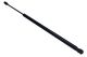 MAXGEAR Gasfeder, Koffer-/Laderaum 12-1839