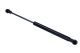 MAXGEAR Gasfeder, Heckscheibe 12-1845
