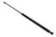 MAXGEAR Gasfeder, Koffer-/Laderaum 12-1847